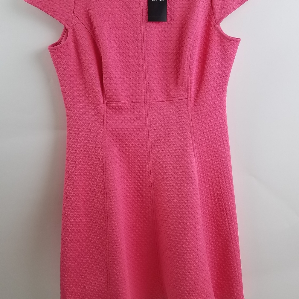 American Living cute dress